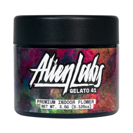 Gelato 41 Indica
