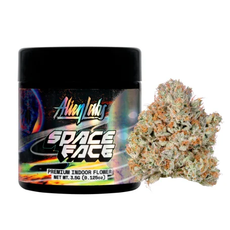 Space Face Indica